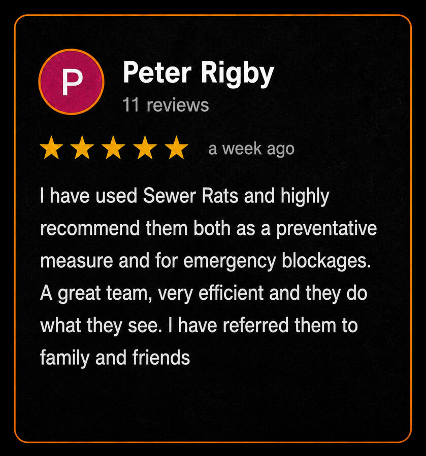Review 4
